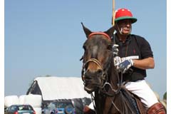 Herr Paukant - Polo in Dresden Bild