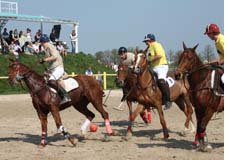 Herr Paukant - Polo in Dresden Bild